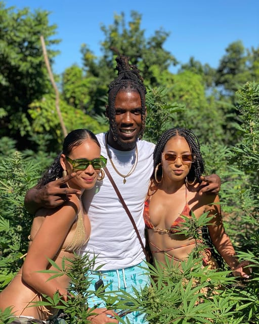 Montego Bay Marijuana Farm Tour - Who this Montego Bay marijuana farm tour suits best