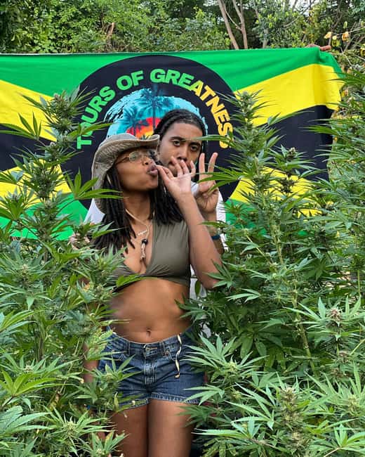 Montego Bay Marijuana Farm Tour - A 1 to 2 hour tour that stays focused on the fields