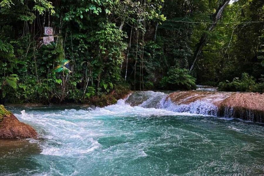 Montego Bay: Private Dunn's River Falls and Blue Hole Tour - Dunn’s River Falls, the 600-foot climb: why guides matter