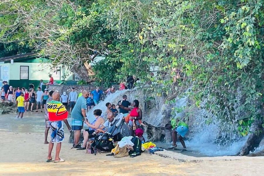 Montego Bay: Private Dunn's River Falls and Blue Hole Tour - A balanced word about private expectations