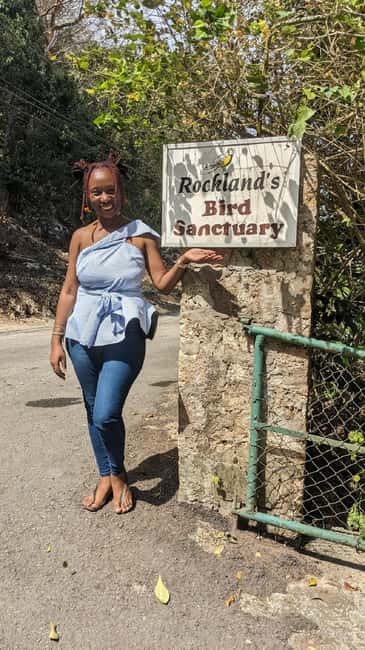 Montego Bay: Private Rocklands Bird Sanctuary Trip - Private ride from Montego Bay to Anchovy’s Rocklands Bird Sanctuary