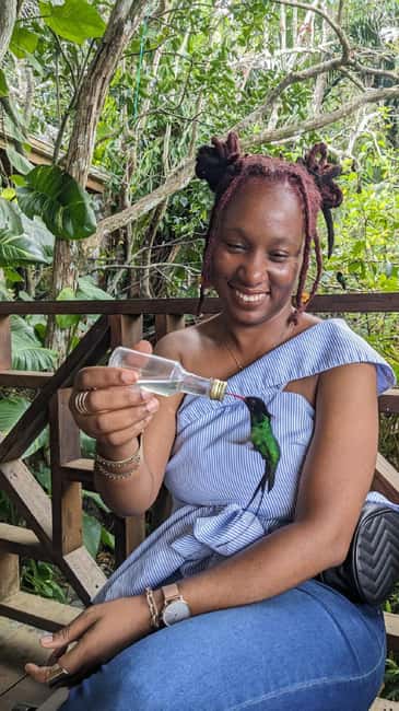 Montego Bay: Private Rocklands Bird Sanctuary Trip - Price and what you will pay on arrival at the sanctuary