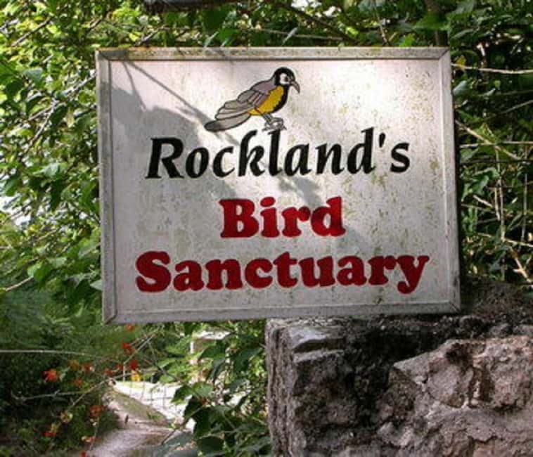 Montego Bay: Private Rocklands Bird Sanctuary Trip - FAQ