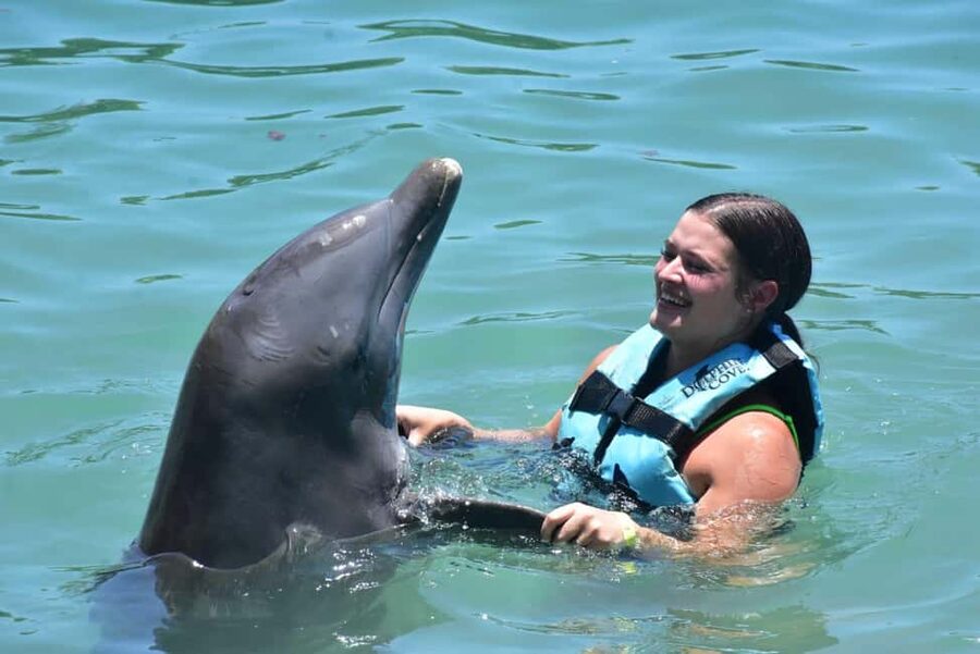 Montego Bay: Swim With The Dolphins Adventure in Lucea - Key things that make this dolphin adventure worth your time