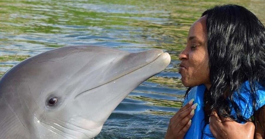Montego Bay: Swim With The Dolphins Adventure in Lucea - Getting from your resort to Dolphin Cove, without turning it into a hassle
