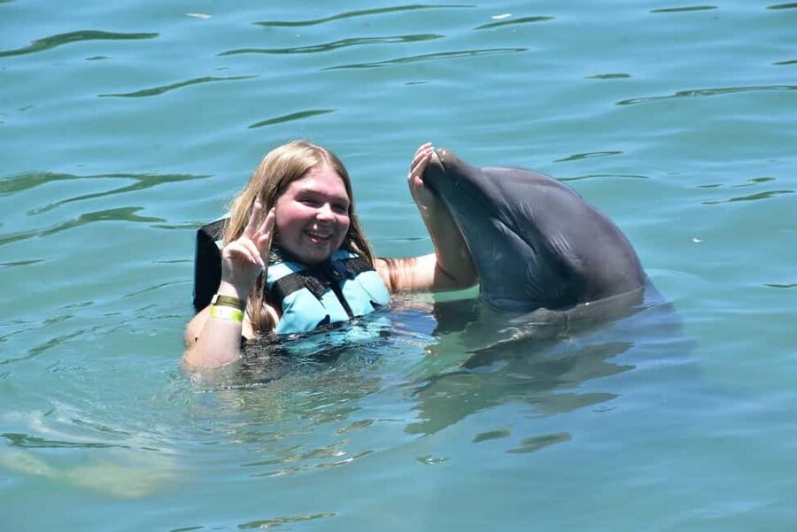 Montego Bay: Swim With The Dolphins Adventure in Lucea - Inside the dolphin time: what you do once you are in the water