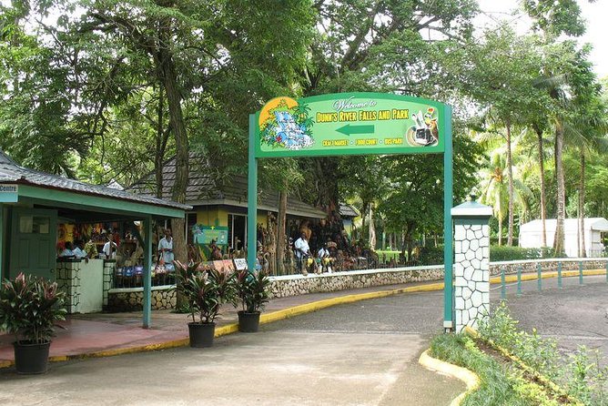 Montego Bay to Dunn's River Falls Half-Day Trip - Your guide matters on the rocks