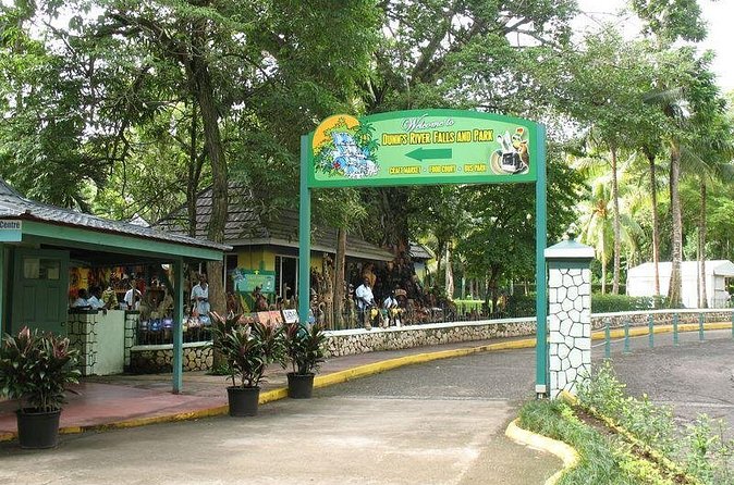 Montego Bay to Dunn's River Falls Half-Day Trip - Crowds, pacing, and the “line” problem