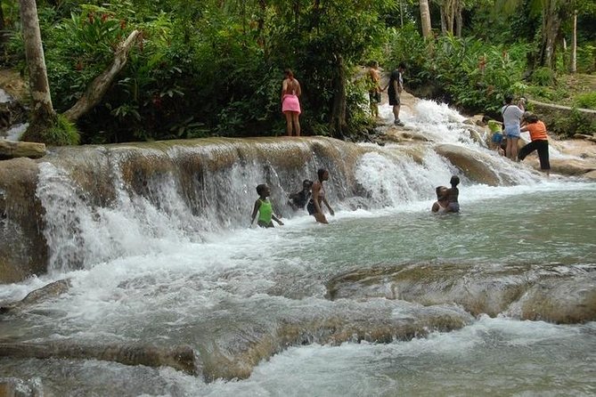 Montego Bay tour: Dunn's River Falls - Smooth Montego Bay Pickup to Start Your Dunn’s River Day