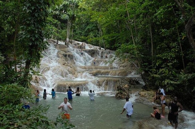 Montego Bay tour: Dunn's River Falls - Timing, Weather, and How to Avoid a Wasted Day