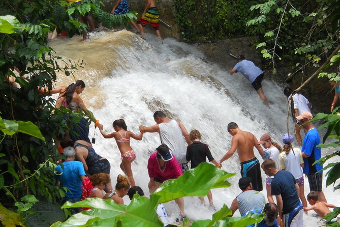 Montego Bay tour: Dunn's River Falls - Tickets, Entry, and the One Thing to Confirm