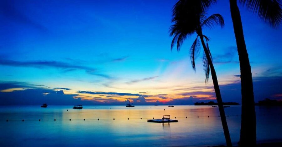 Negril 7-Hour Tour from Montego Bay - Negril in 7 hours from Montego Bay: what the day feels like