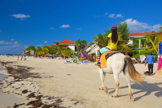 Negril 7 Mile Beach and Rick's Cafe Tour From Montego Bay Jamaica - Rick’s Café evening plan: cliff-jump spectacle, live music, and sunset timing