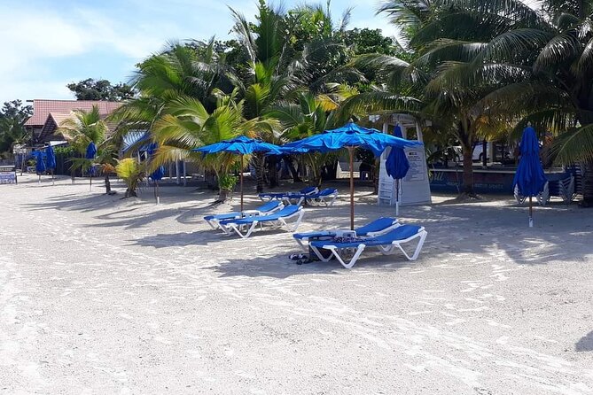 Negril 7 Miles Beach and Rick's Cafe Tour - Key Takeaways Before You Go