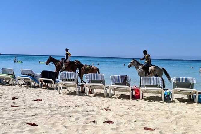 Negril Beach & Rick's Cafe Tour - The driver factor: Dwight Harvey and what his service signals