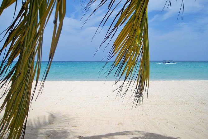 Negril Beach & Ricks Cafe from Montego Bay - Why this tour works for a Negril taste in one day