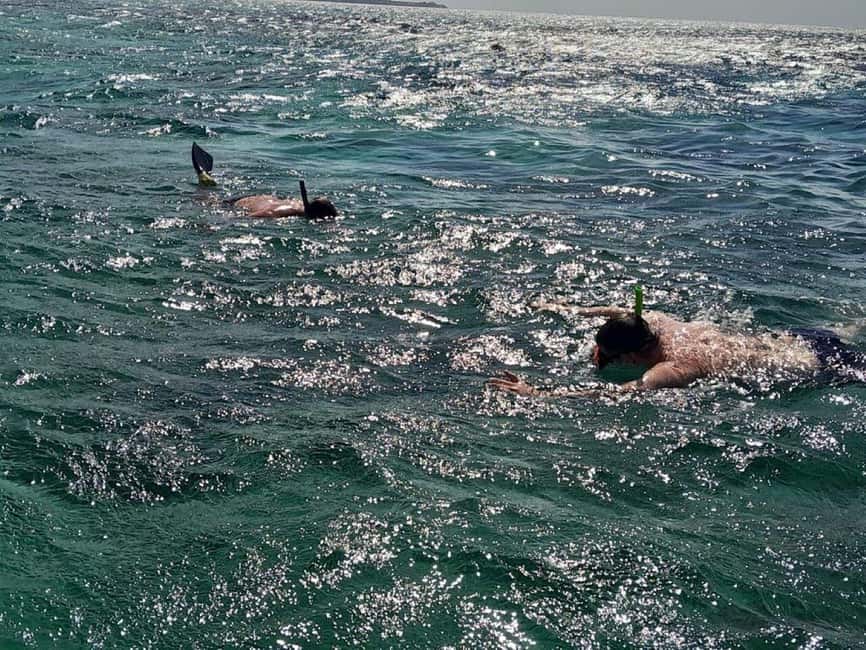Negril: Booby Cay Island Picnic Tour with Snorkeling - The one-hour snorkeling session in clear water
