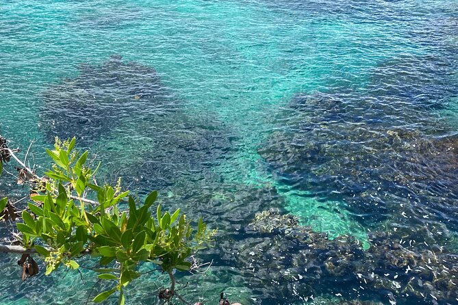 Negril day! beach and west end Cliffs with French Guide - Who This Negril Day Fits Best