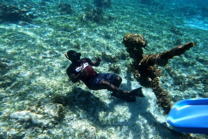 Negril Glass Bottom Boat Tour Snorkeling and Booby Cay - Key highlights you will feel on the water
