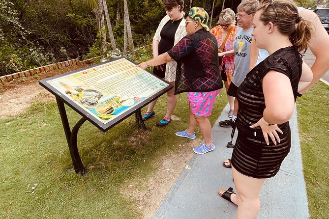 Negril Glass Bottom Boat Tour+Snorkeling visit Booby cay island - Transportation, Timing, and Group Setup That Keep It Easy