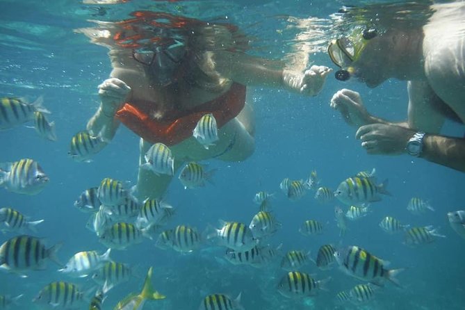Negril Lobster Lunch on Booby Cay & Snorkeling To a Sunken Cannon - Key Highlights Worth Booking For