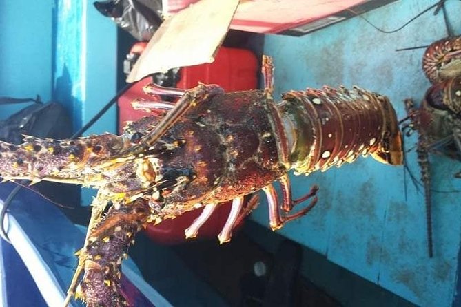 Negril Lobster Lunch on Booby Cay & Snorkeling To a Sunken Cannon - Price and Value: Is $130 Worth It?