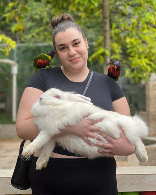 Negril Marijuana Farm and Mineral Spring Tour - Who this tour suits best (and who might not love it)