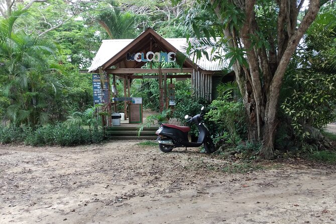 Negril Private and Public Beach with Ricks Cafe from Montego Bay - What this day feels like in real life