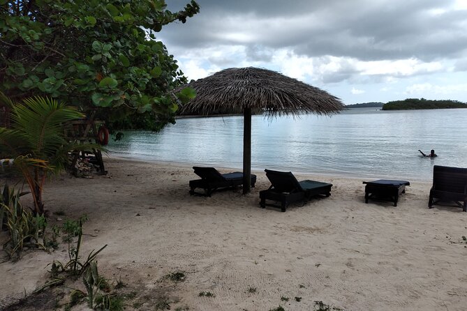 Negril Private and Public Beach with Ricks Cafe from Montego Bay - The guide experience, and why Das stood out
