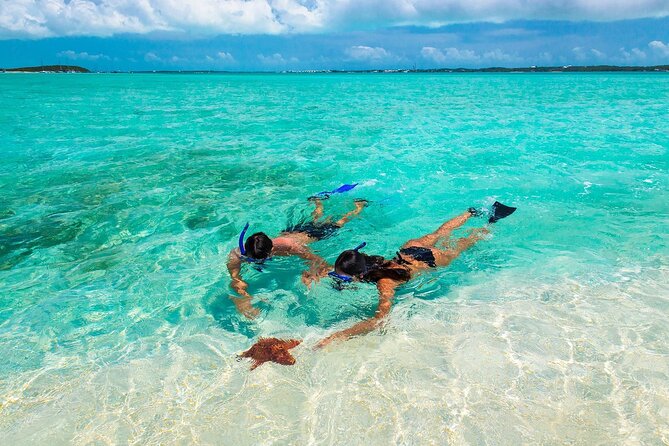 Negril Seven Miles Beach, Snorkeling, Boat Ride, Ricks Cafe Combo - Quick key points from this Negril Seven Mile Beach and Ricks Cafe combo