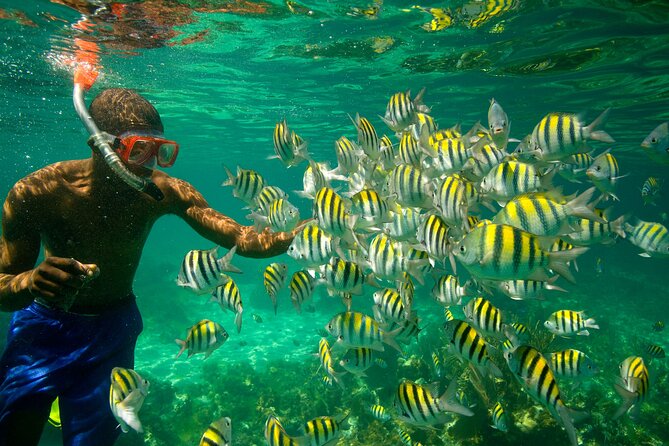 Negril Seven Miles Beach, Snorkeling, Boat Ride, Ricks Cafe Combo - Rick’s Cafe sunset: cliff jumping, music, and the main show on the cliffs
