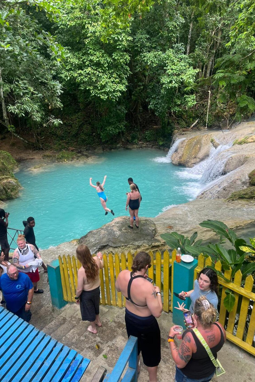 Ocho Rios : Blue Hole and Sightseeing Tour - Island Gully Falls Blue Hole, what you can actually do there