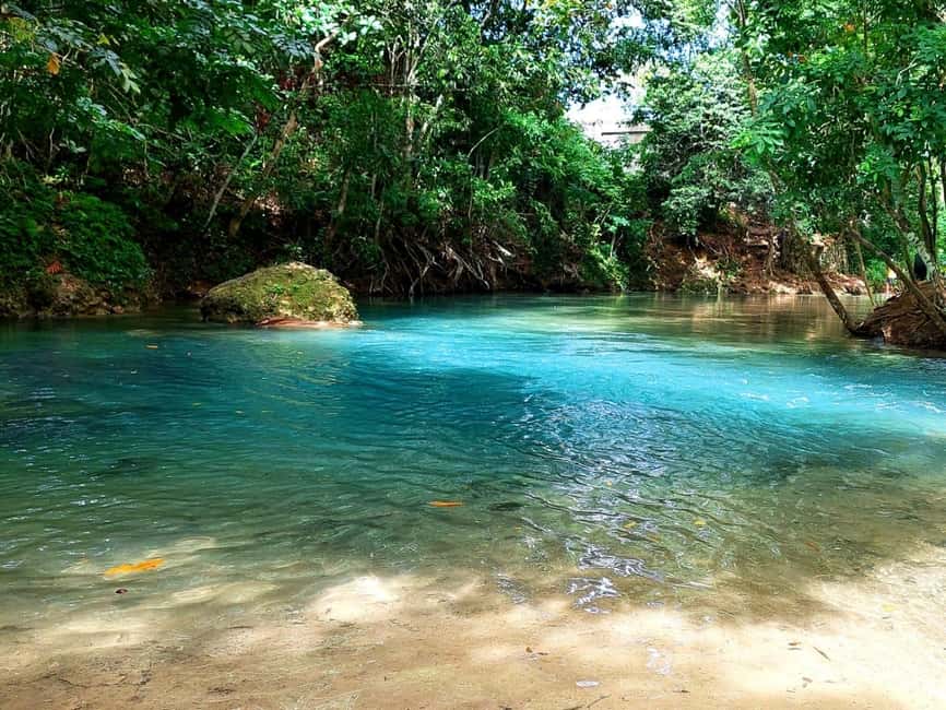 Ocho Rios: Blue Hole, Dunn’s River & Reggae Hill Guided Tour - Who should book this tour, and who should skip it