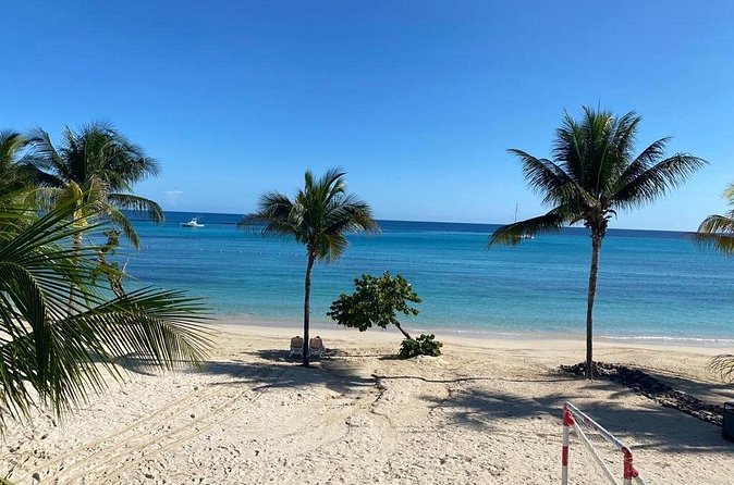 Ocho Rios City Bus Tour (Beach, Sightseeing & Shopping) - The ferns and the drive: seeing Ocho Rios without sprinting