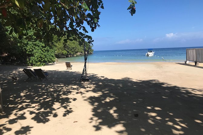 Ocho Rios City Bus Tour (Beach, Sightseeing & Shopping) - Shopping and photo tips: ask first, buy later