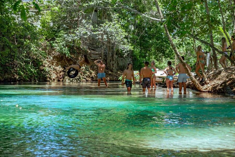 Ocho Rios: Dunn’s River Falls & Reggae Hill Tour - Reggae Hill on the White River: river swim time with a reggae vibe