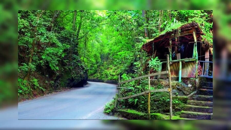 Ocho Rios: Guided Sightseeing Tour - Getting Pickup Right in Ocho Rios (Cruise, Resort, or Villa)