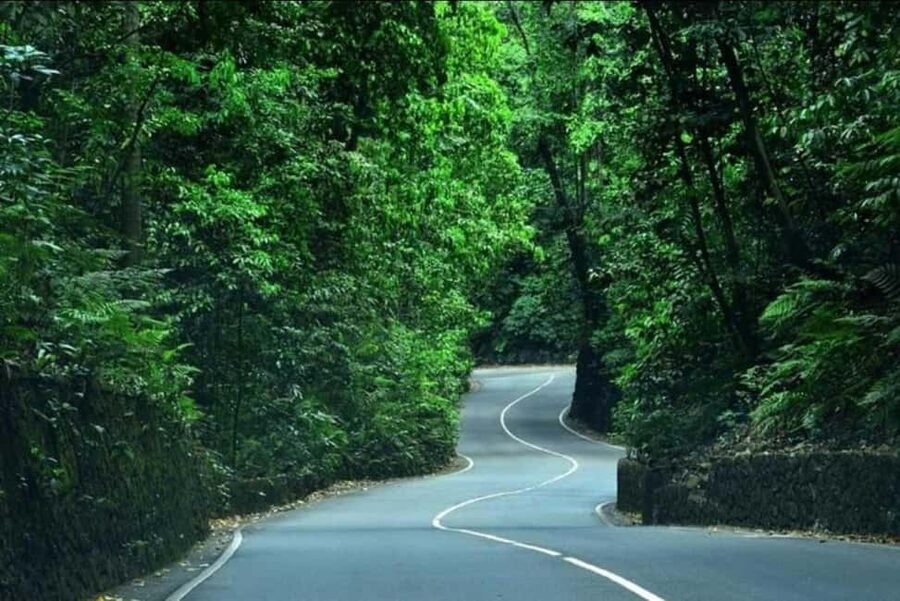 Ocho Rios: Guided Sightseeing Tour - Local Neighborhood Drive: Real Life Stops Without Needing a Rental Car