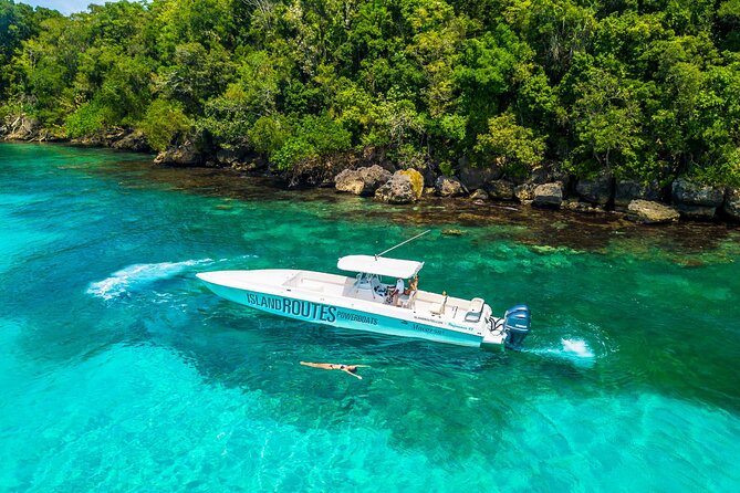 Ocho Rios Powerboat & Dunn’s River Falls Adventure - Price and Value: What $240 Really Buys You
