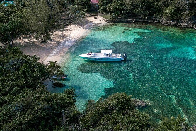 Ocho Rios Powerboat & Dunn’s River Falls Adventure - What’s Included, What You Should Pay Extra For