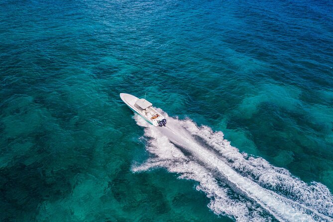 Ocho Rios Powerboat & Dunn’s River Falls Adventure - Weather, Motion Sickness, and Day-Of Reality Checks