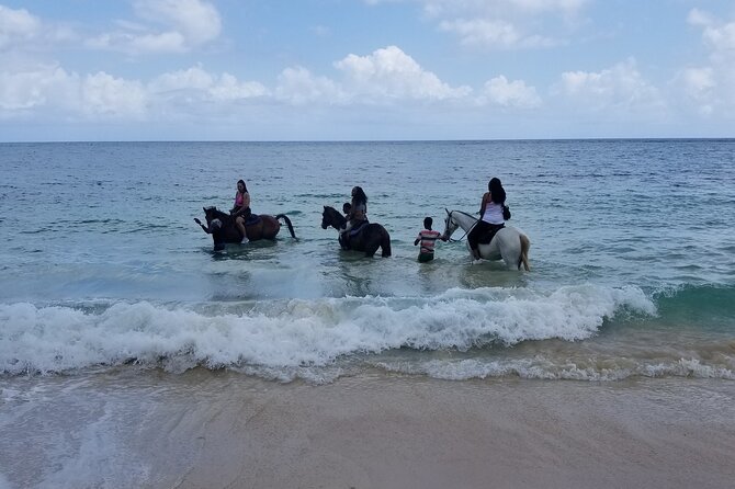 Ocho Rios Private Horse Riding, River Tubing and Rafting[Entry fee not included] - Stop 1: Irie Blue Hole swim time (and how to make it painless)