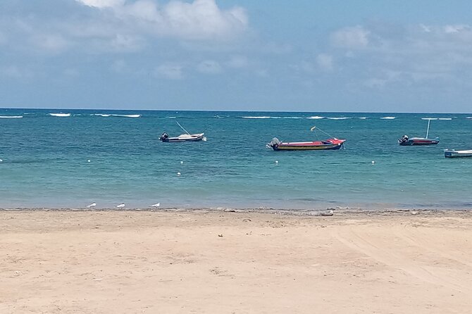Ocho Rios Scenic Views, Culture and Adventure - Finishing in town: shopping, lunch, or Margaritaville