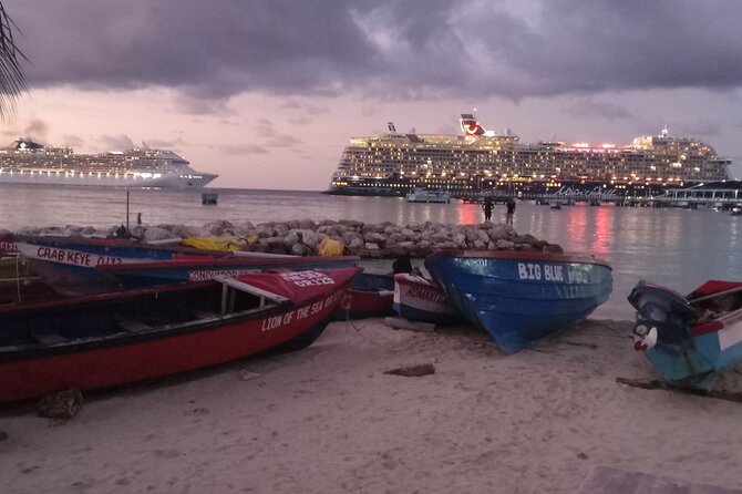 Ocho Rios Scenic Views, Culture and Adventure - Price and value: what $70 buys you in real-world comfort