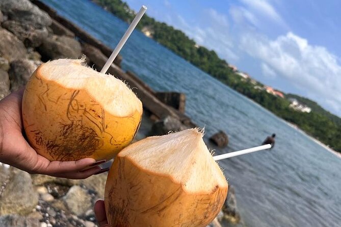 Ocho Rios Sightseeing Tours and Shopping - Pickup that actually feels like a vacation start