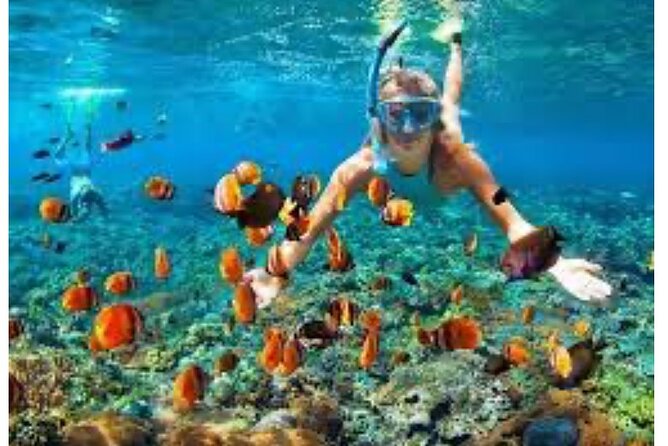 Party Catamaran and Snorkeling Tour in Montego Bay - The one “read the fine print” caution: private vs shared