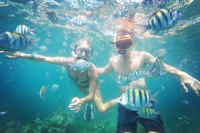 Party Catamaran Cruise with Open Bar and Snorkeling Montego Bay - Open bar, DJ, and snacks: how the onboard party works