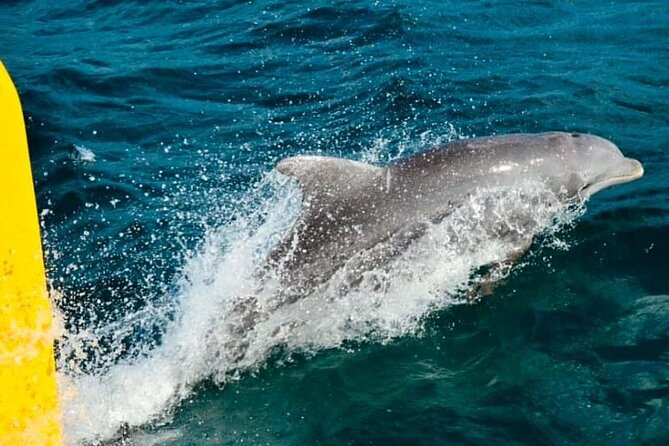 PARTY Catamaran Cruise with Snorkeling Rick's Cafe ADULTS ONLY - Stop One at Rick’s Café: Cliff Jumpers, Sunset Views, and Bar Time