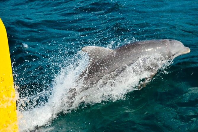 Party Catamaran: OpenBar, Music, Negril Beach, Caves, Snorkeling - Open Bar, Music, and Hosts: The Vibe Depends on the Day