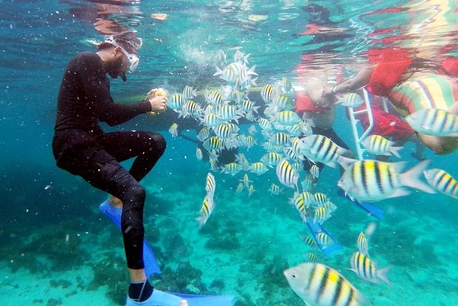 Party Catamaran: OpenBar, Music, Negril Beach, Caves, Snorkeling - Boarding Reality: Expect to Get Wet (And Plan Accordingly)